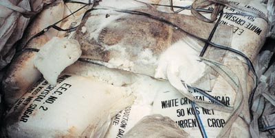 cargo protection desiccant