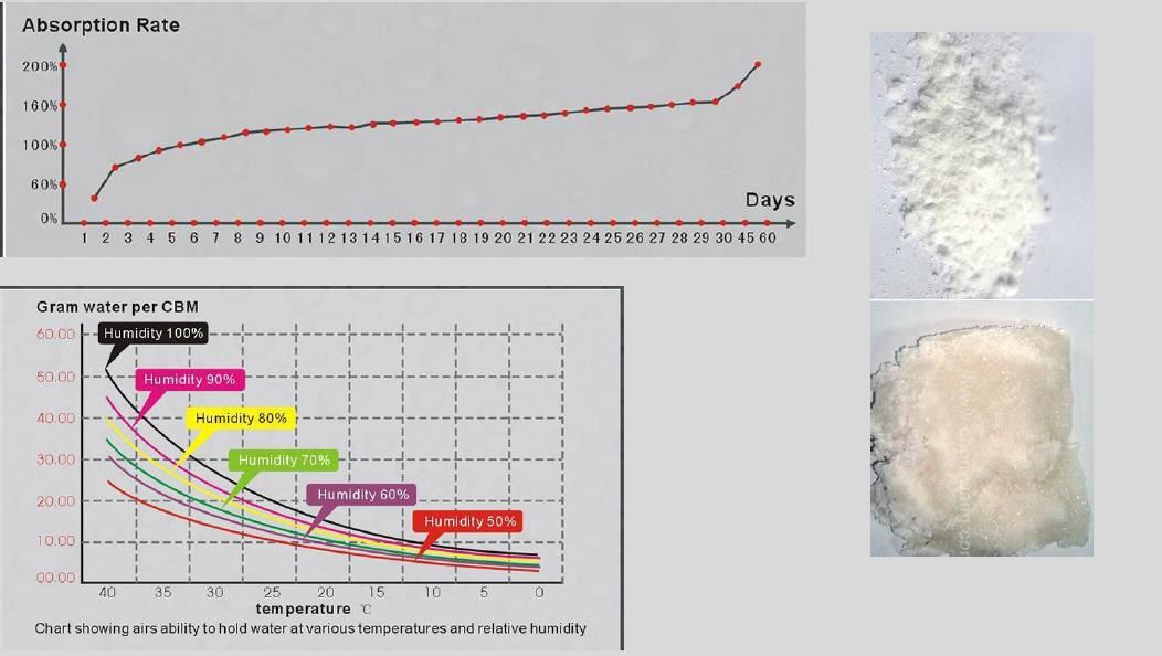 absorption rate